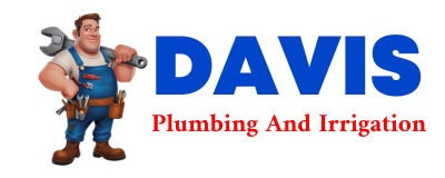 Trusted plumber in CRANE LAKE